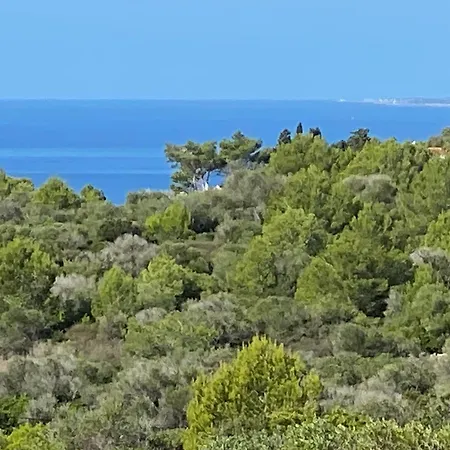 Sant Jaume 乡村民宿 阿莱奥尔